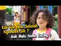 Kok Gak Mau Sekolah Ngambek Sih ? Gak Malu Sama Kucing ?