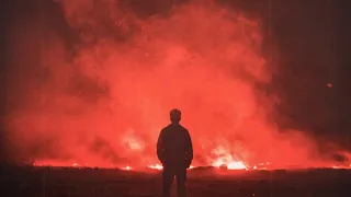                                                     دندنها
