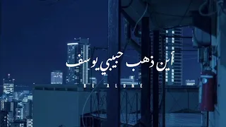 محمد رضا شجريان   أين ذهب حبيبي يوسف   مسرعه دندنها