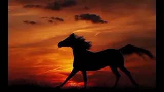 نشيد في كل يوم للجنان قوافل في رثاء عبدالله عزام انشاد ابو أسيد 