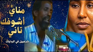                       شرحبيل احمد    مناي اشوفك تاني دندنها
