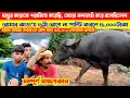 Download Lagu বরাবাজার থানার কাড়া বঠে মানবেক নাই!জোড়া কনফার্ম করে কি বললেন দেখুন! 