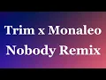 Trim - Nobody Remix ft. Monaleo (audio) 