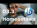 2025 IB Biology - D3 3 Homeostasis