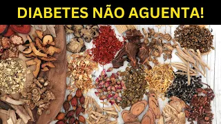 15 MELHORES PLANTAS MATADORAS DE DIABETES