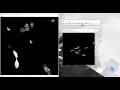 Use ImageJ to view 3D image