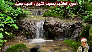 سورة الغاشية بصوت الشيخ  السيد سعيد                      دندنها