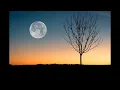 Ni Jana - Jusleen Royal (Lyrics)