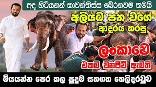 අලියන්ට පන වගේ ආදරය කරපු ලංකාවෙ එකම වනජීවී ඇමති
