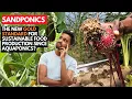 Lagu Sandponics Beetroot Galore: The New Gold Standard for Sustainable Food Production Since Aquaponics?