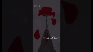 حالات واتساب اخر ليلة يمجن يا بناتي 