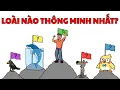 Download Lagu Con người có thật sự là loài thông minh nhất?