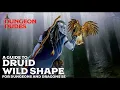 Druid Wildshape Guide for Dungeons and Dragons 5e