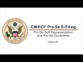 Pro Se E-Filing Pro Se Self Representation and Pro Se Guidelines 1