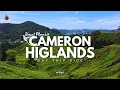 Download Lagu CAMERON HIGHLAND 1 HARI | CUKUP KER ?