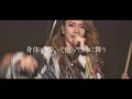 NEMOPHILA / 鬼灯 [Official Music Video]