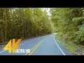 Download Lagu 4K Scenic Forest Drive - Road to Artist Point, WA - 6 HRS (WITH MUSIC)