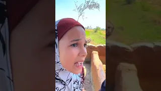 محمد ومريم ام قملايه بتسالني عن المعزه كوميديات محمد مريم Shortvideo Shorts شاعر بني سويف  محمد ومريم ام قملايه بتسالني عن المعزه كوميديات محمد مريم Shortvideo Shorts شاعر بني سويف