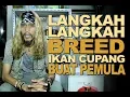 Download Lagu LANGKAH-LANGKAH PIJAH IKAN CUPANG