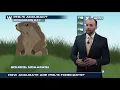 How Accurate Are Punxsutawney Phil s Forecasts