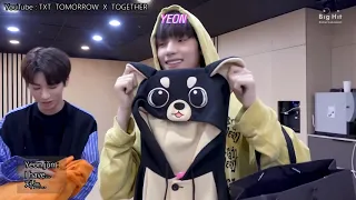  eng sub txt cat u0026 dog dance practice animal ver