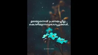 pularipoo pole chirichum lyrical video sithara krishnakumar