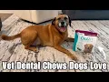ORAVET Dental Chews for Large Dogs Long-Time User Review