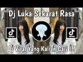 Lagu DJ MEMANG AKU AKUI AKULAH YANG BERSALAH | DJ LUKA SEKARAT RASA VIRAL TIKTOK 2025