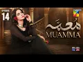 Lagu Muamma | Episode 14 [Eng Sub] - 5th February 2026 [ Saba Qamar \u0026 Ali Ansari ] - HUM TV