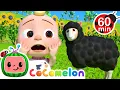 Download Lagu Baa Baa Black Sheep Surprise! 😲🐏 CoComelon Nursery Rhymes 🍉 | Sing Along Songs for Kids 🎵