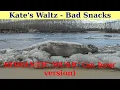Kate's Waltz van Bad Snacks. Een uur durende versie. ROMANTISCHE YouTube MUZIEK.