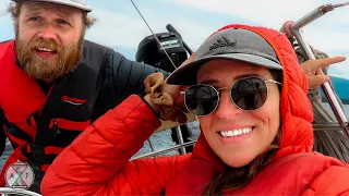 The BEST cruising grounds & no one knows about it.. WHALES everywhere! | A&J Sailing S2Ep.11
