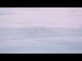 Taylor Swift - Forever Winter (Taylor's Version) (From The Vault) (Lyric Video)