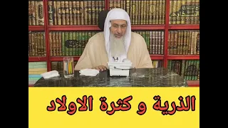 الذرية و كثرة الاولاد  العدوي دندنها