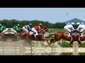SPA SELECTIONS 2024 SARATOGA PICKS JULY