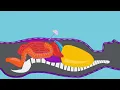 Colectomy What to Expect During Surgery