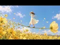 꽃 한 송이에 걸터앉은 상상 같은 플리 | 가을 플리 | PLAYLIST