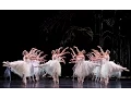Download Lagu Swan Lake: Corps de Ballet (The Royal Ballet)