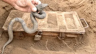 The strangest buried treasures / box of gold Hunt with métal dedector and snake  / treasure hunter