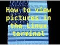 How to view images in Linux terminal