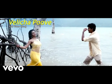 Download MP3 Ethir Neechal - Velicha Poove Video | Sivakarthikeyan, Priya
