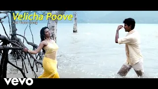 Download Ethir Neechal - Velicha Poove Video | Sivakarthikeyan, Priya MP3