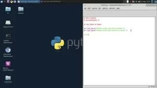 Programming on Linux - Python raw input vs input