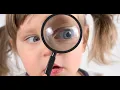 This Is How to Do a Reverse Image Search on Google Image