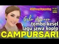 Download Lagu campursari lagu jawa koplo tombo kesel@selvianafamilyvlog230