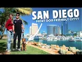 A PERFECT WEEKEND IN SAN DIEGO - Things To Do See Eat Dog friendly