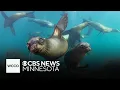 Study finds ocean temperatures rising for 9th straight year