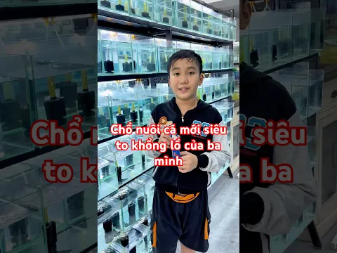 Chổ nuôi cá siêu to khổng lồ của ba mình !!! #bettasales #baoiba #ngocdiemaquarium #viral