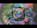 Computers Dream in AI - GRV
