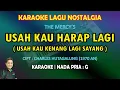 Download Lagu Usah Kau Harap Lagi karaoke The Mercy's nada pria G (Usah kau kenang lagi sayang)